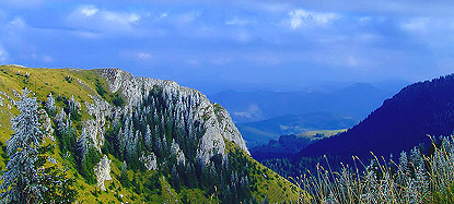 Kopaonik